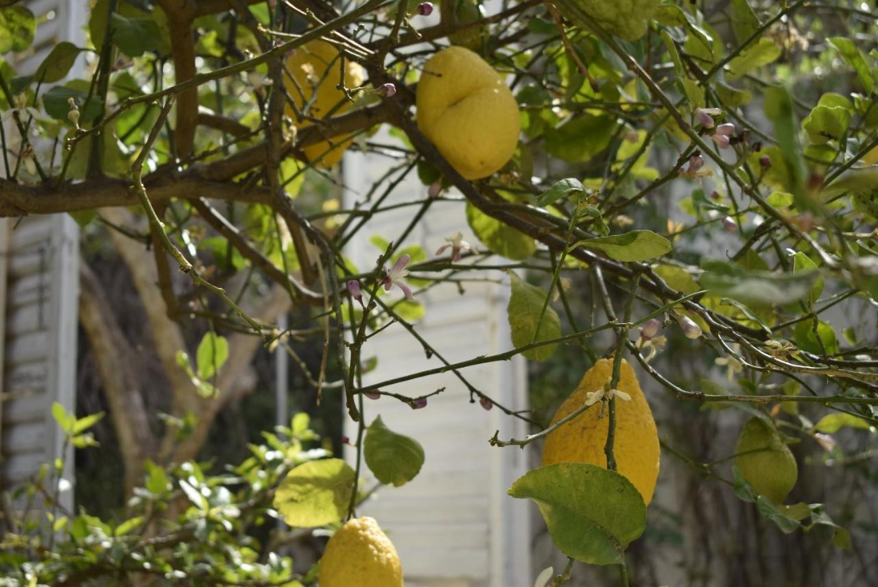איספיקה Villa Aurea מראה חיצוני תמונה