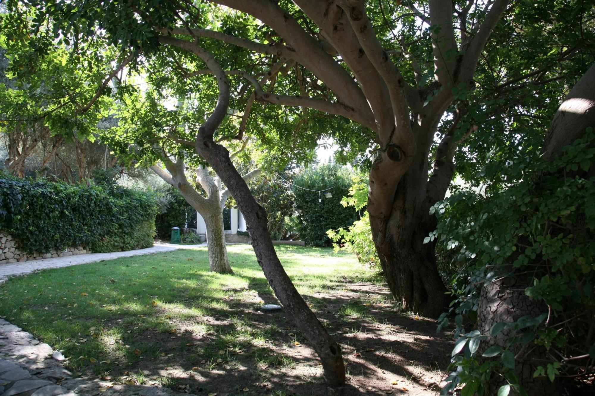 איספיקה Villa Aurea מראה חיצוני תמונה