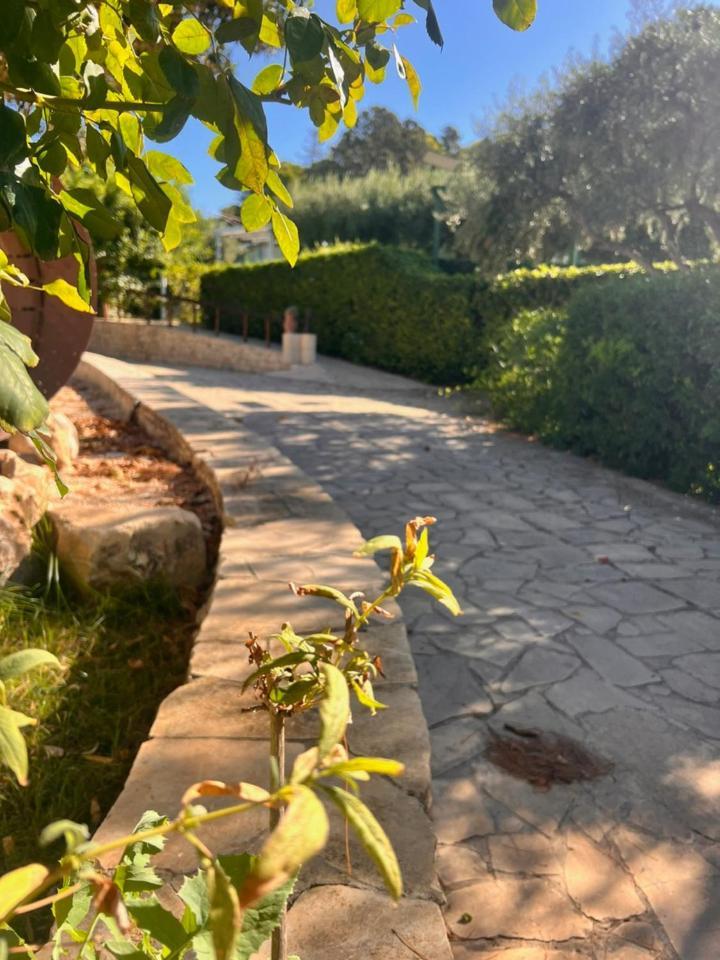 איספיקה Villa Aurea מראה חיצוני תמונה