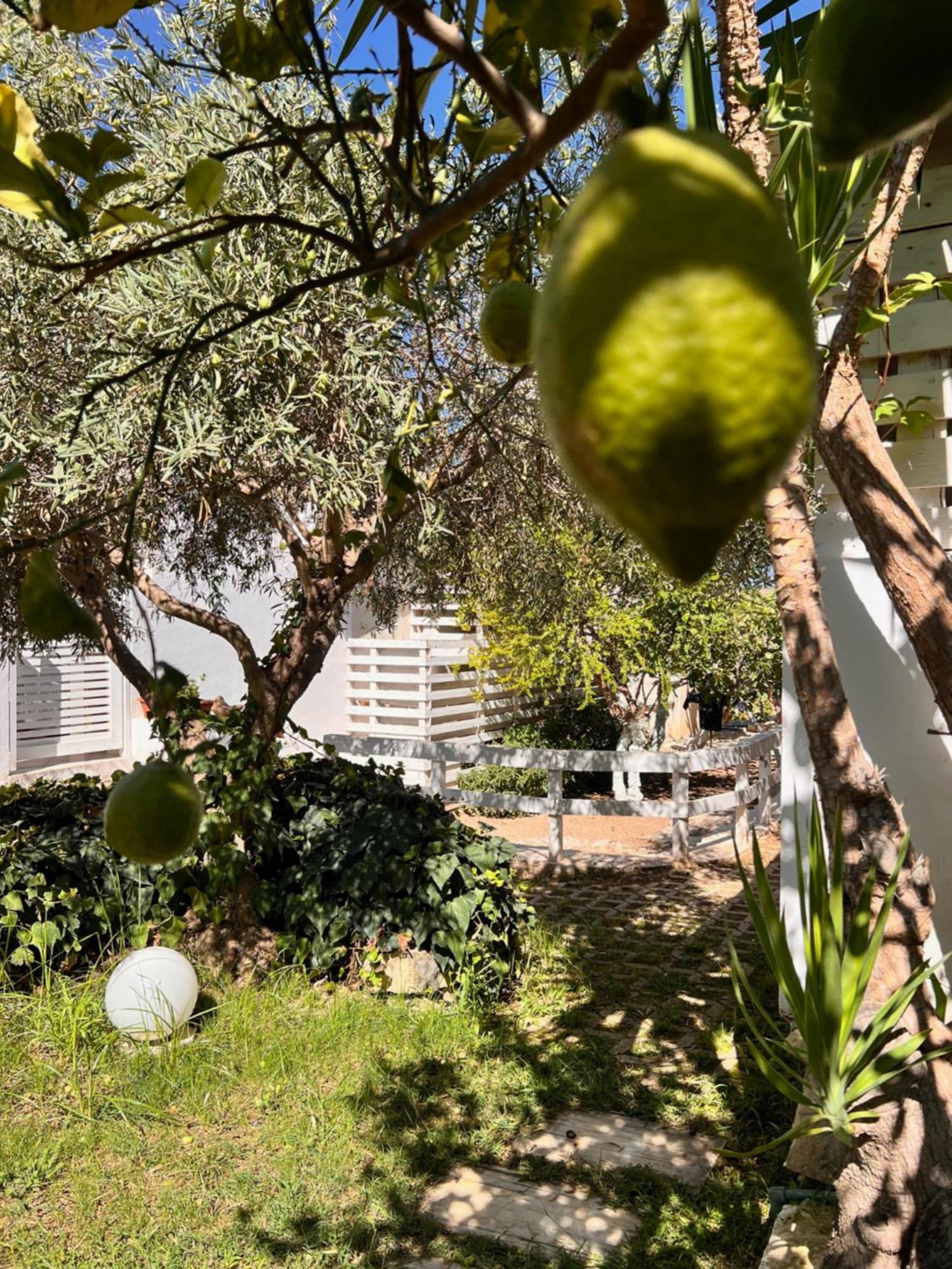 איספיקה Villa Aurea מראה חיצוני תמונה