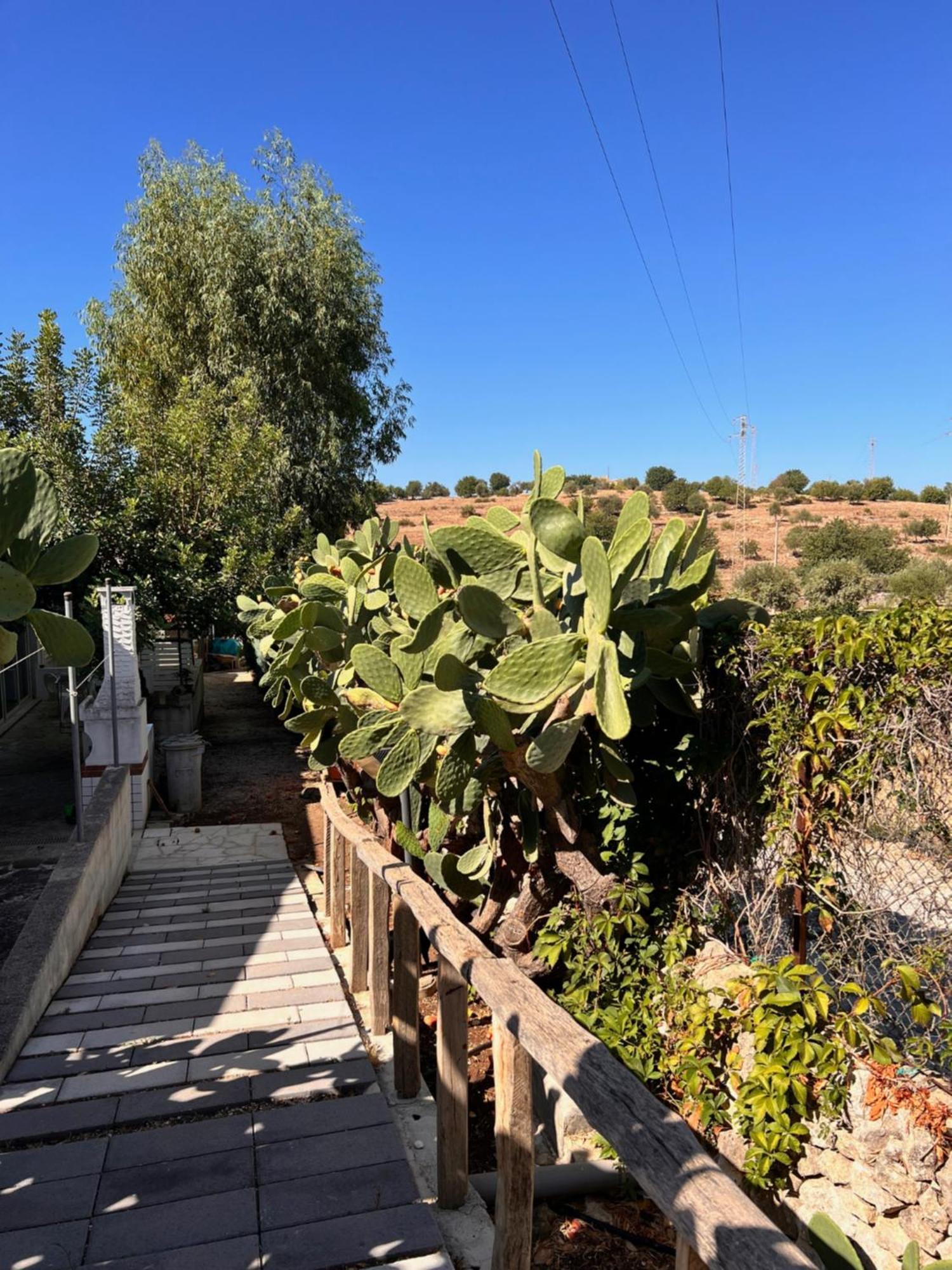 איספיקה Villa Aurea מראה חיצוני תמונה