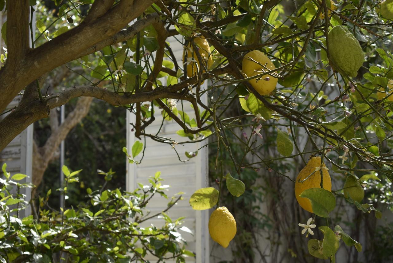 איספיקה Villa Aurea מראה חיצוני תמונה